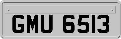 GMU6513