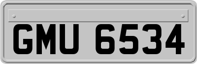 GMU6534