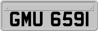 GMU6591