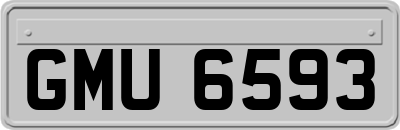GMU6593
