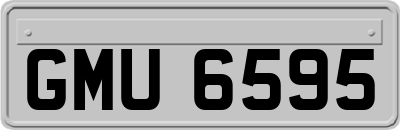 GMU6595