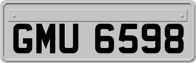 GMU6598