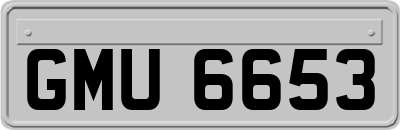 GMU6653