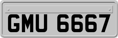 GMU6667