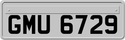 GMU6729