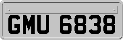 GMU6838