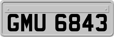 GMU6843