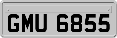 GMU6855