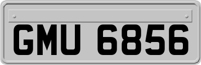 GMU6856