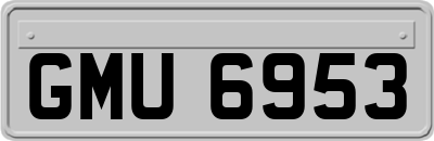 GMU6953