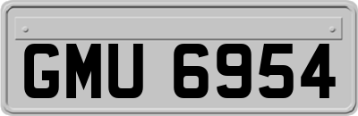 GMU6954