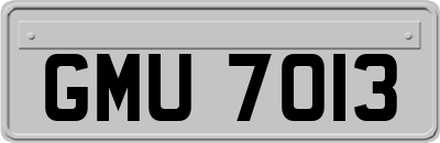 GMU7013