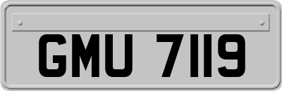 GMU7119