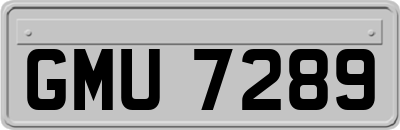 GMU7289
