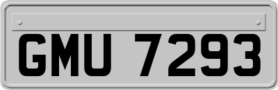 GMU7293