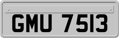 GMU7513