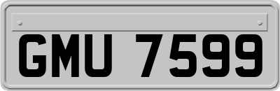 GMU7599