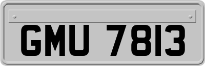 GMU7813