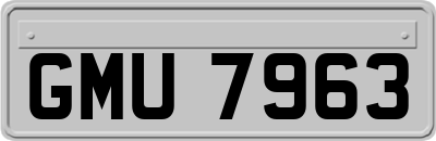 GMU7963