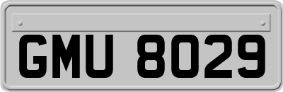 GMU8029