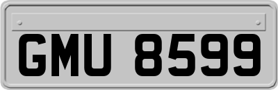 GMU8599