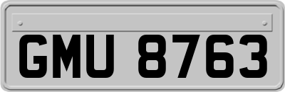 GMU8763