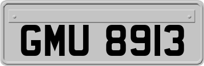 GMU8913