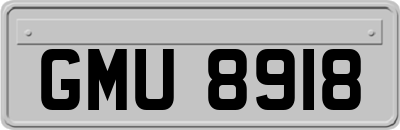 GMU8918