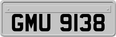 GMU9138