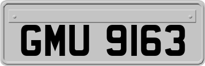 GMU9163