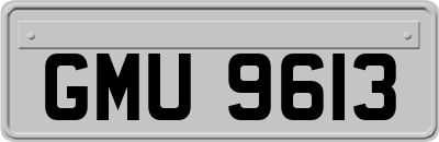 GMU9613