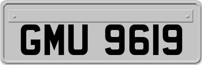 GMU9619
