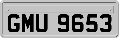 GMU9653