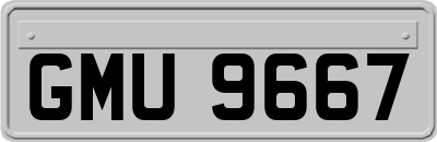 GMU9667