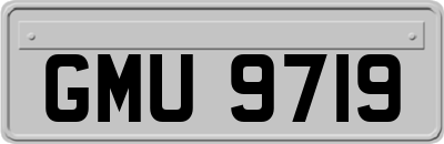GMU9719
