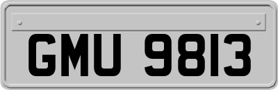 GMU9813