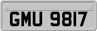 GMU9817