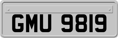 GMU9819