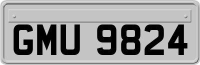 GMU9824