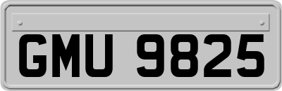GMU9825