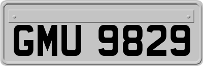 GMU9829