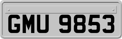 GMU9853