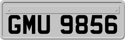 GMU9856