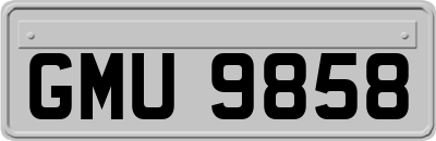 GMU9858