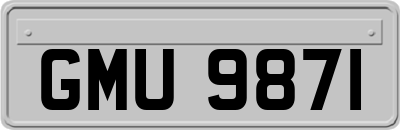 GMU9871