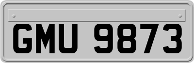 GMU9873
