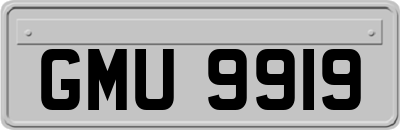 GMU9919