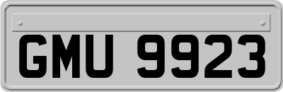 GMU9923