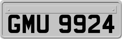 GMU9924