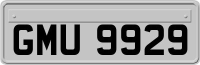 GMU9929